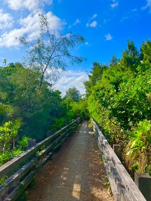 Otoneの写メ日記｜プレミアム 吉原高級店ソープ