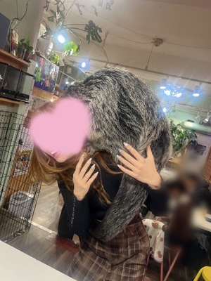 Otoneの写メ日記｜プレミアム 吉原高級店ソープ