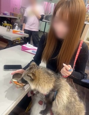 Otoneの写メ日記｜プレミアム 吉原高級店ソープ