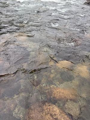 雲瀬琥珀の写メ日記｜プレジデントクラブ 吉原高級店ソープ