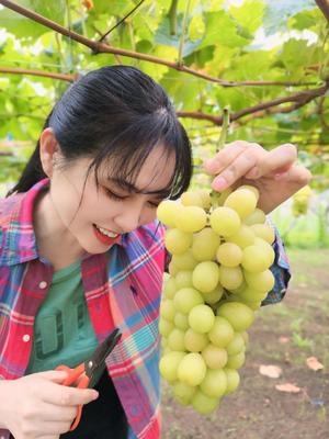 白藤の写メ日記|プレジデントクラブ 吉原高級店ソープ
