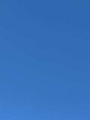 白藤の写メ日記｜プレジデントクラブ 吉原高級店ソープ