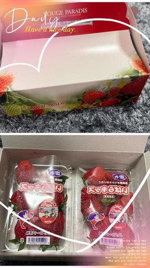 白藤の写メ日記｜プレジデントクラブ 吉原高級店ソープ