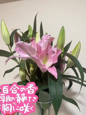 白藤の写メ日記｜プレジデントクラブ 吉原高級店ソープ