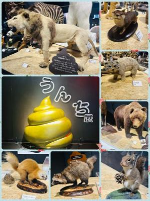 綾瀬はなの写メ日記｜プレジデントクラブ 吉原高級店ソープ