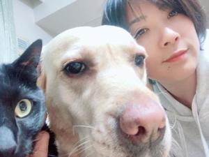 高杉しのぶの写メ日記｜プレジデントクラブ 吉原高級店ソープ