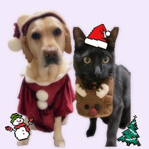 高杉しのぶの写メ日記｜プレジデントクラブ 吉原高級店ソープ