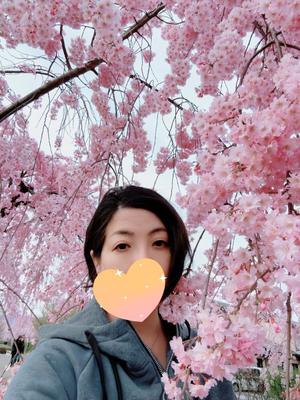 高杉しのぶの写メ日記｜プレジデントクラブ 吉原高級店ソープ