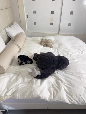 月島ももの写メ日記｜プレジデントクラブ 吉原高級店ソープ