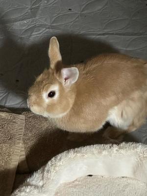 月島ももの写メ日記｜プレジデントクラブ 吉原高級店ソープ