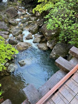 月島ももの写メ日記｜プレジデントクラブ 吉原高級店ソープ