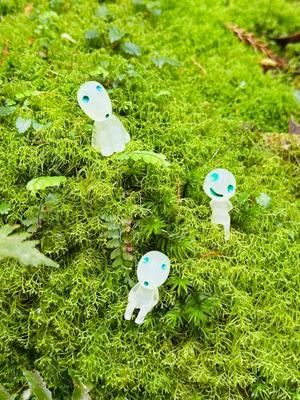 月島ももの写メ日記｜プレジデントクラブ 吉原高級店ソープ