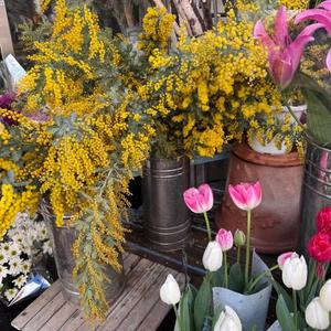 宮原紗世の写メ日記｜プレジデントクラブ 吉原高級店ソープ