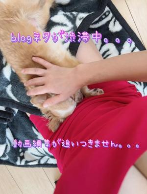 一条彩香の写メ日記｜プレジデントクラブ 吉原高級店ソープ