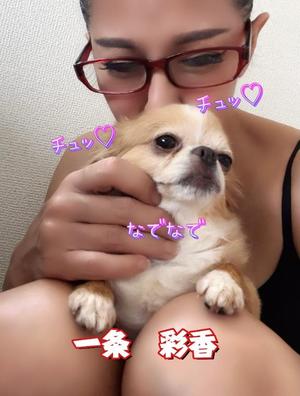 一条彩香の写メ日記｜プレジデントクラブ 吉原高級店ソープ