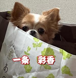 一条彩香の写メ日記｜プレジデントクラブ 吉原高級店ソープ