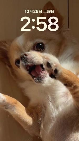 一条彩香の写メ日記｜プレジデントクラブ 吉原高級店ソープ