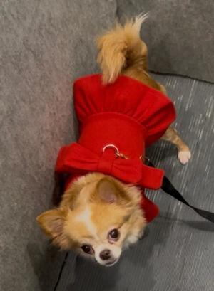 一条彩香の写メ日記｜プレジデントクラブ 吉原高級店ソープ