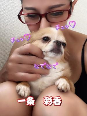 一条彩香の写メ日記｜プレジデントクラブ 吉原高級店ソープ