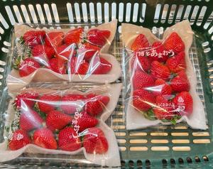 一条彩香の写メ日記｜プレジデントクラブ 吉原高級店ソープ