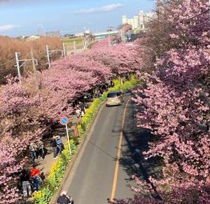 竹下夢路の写メ日記｜プレジデントクラブ 吉原高級店ソープ