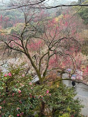 竹下夢路の写メ日記｜プレジデントクラブ 吉原高級店ソープ