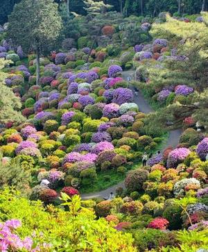 竹下夢路の写メ日記｜プレジデントクラブ 吉原高級店ソープ