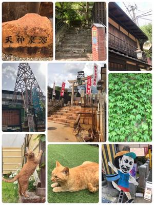松嶋那々の写メ日記｜プレジデントクラブ 吉原高級店ソープ