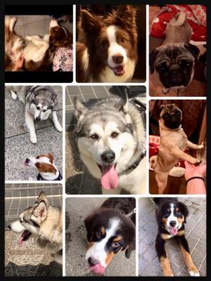 松嶋那々の写メ日記｜プレジデントクラブ 吉原高級店ソープ