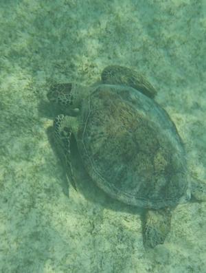 成瀬まこの写メ日記｜プレジデントクラブ 吉原高級店ソープ