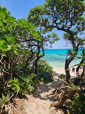 成瀬まこの写メ日記｜プレジデントクラブ 吉原高級店ソープ