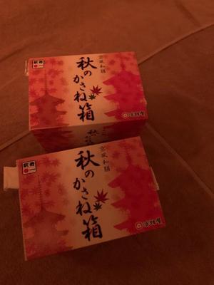 新木りさこの写メ日記｜プレジデントクラブ 吉原高級店ソープ