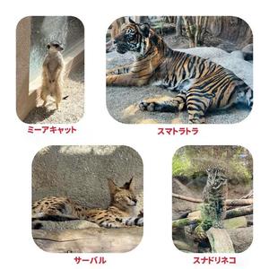 手嶋十和子の写メ日記｜プレジデントハウス 吉原大衆店ソープ