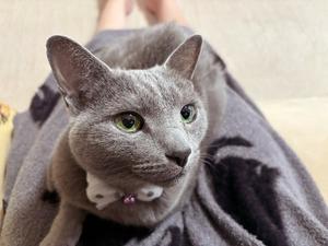 有村もえの写メ日記|プレジデントハウス 吉原大衆店ソープ