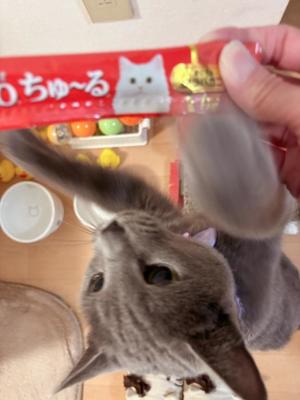 有村もえの写メ日記｜プレジデントハウス 吉原大衆店ソープ