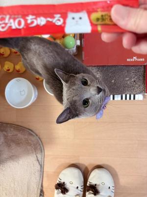 有村もえの写メ日記｜プレジデントハウス 吉原大衆店ソープ