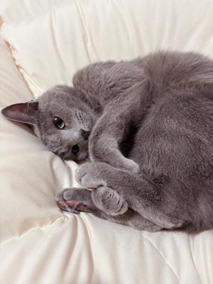 有村もえの写メ日記｜プレジデントハウス 吉原大衆店ソープ