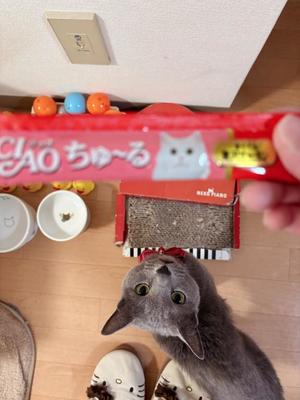 有村もえの写メ日記｜プレジデントハウス 吉原大衆店ソープ