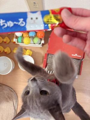 有村もえの写メ日記|プレジデントハウス 吉原大衆店ソープ