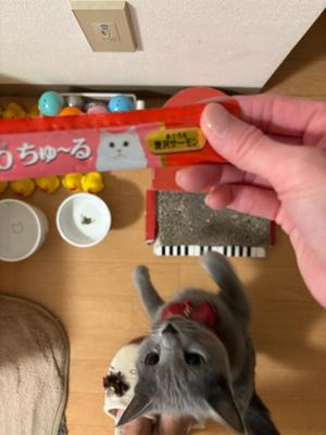 有村もえの写メ日記|プレジデントハウス 吉原大衆店ソープ