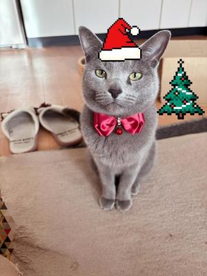 有村もえの写メ日記｜プレジデントハウス 吉原大衆店ソープ