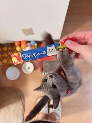 有村もえの写メ日記｜プレジデントハウス 吉原大衆店ソープ