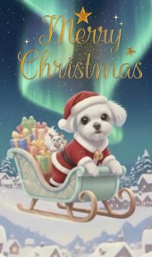 葉月美優の写メ日記｜プレジデントハウス 吉原大衆店ソープ