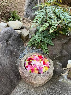 葉月美優の写メ日記｜プレジデントハウス 吉原大衆店ソープ