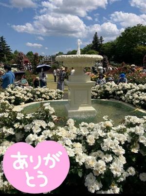 葉月美優の写メ日記｜プレジデントハウス 吉原大衆店ソープ