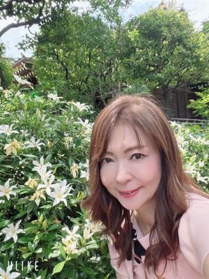 葉月美優の写メ日記｜プレジデントハウス 吉原大衆店ソープ