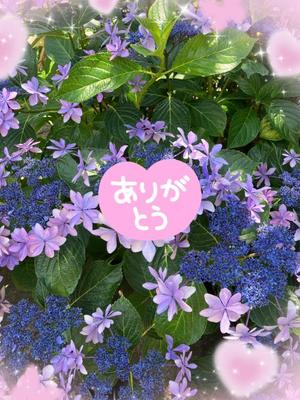 葉月美優の写メ日記｜プレジデントハウス 吉原大衆店ソープ
