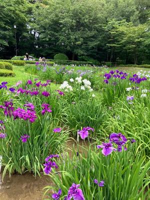 葉月美優の写メ日記｜プレジデントハウス 吉原大衆店ソープ