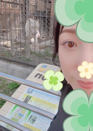 桧山さゆりの写メ日記｜プレジデントハウス 吉原大衆店ソープ