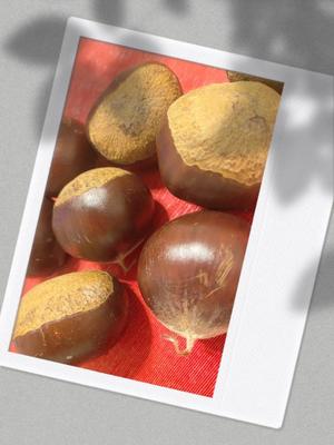 北川 愛の写メ日記｜プレジデントハウス 吉原大衆店ソープ